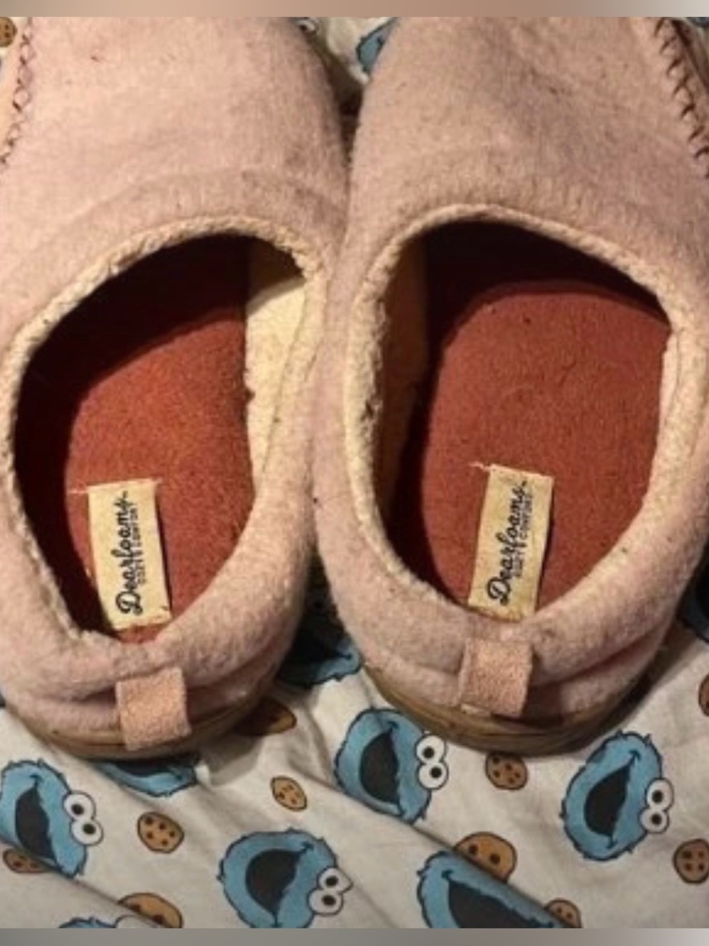 pink fuzzy slippers